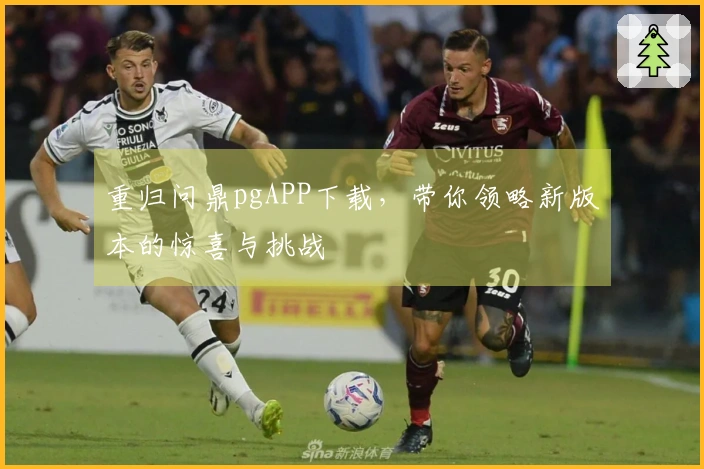 重归问鼎pgAPP下载，带你领略新版本的惊喜与挑战