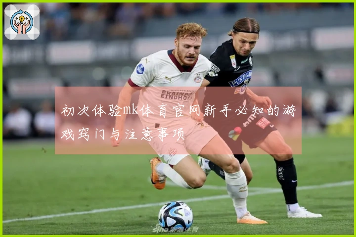 初次体验mk体育官网新手必知的游戏窍门与注意事项