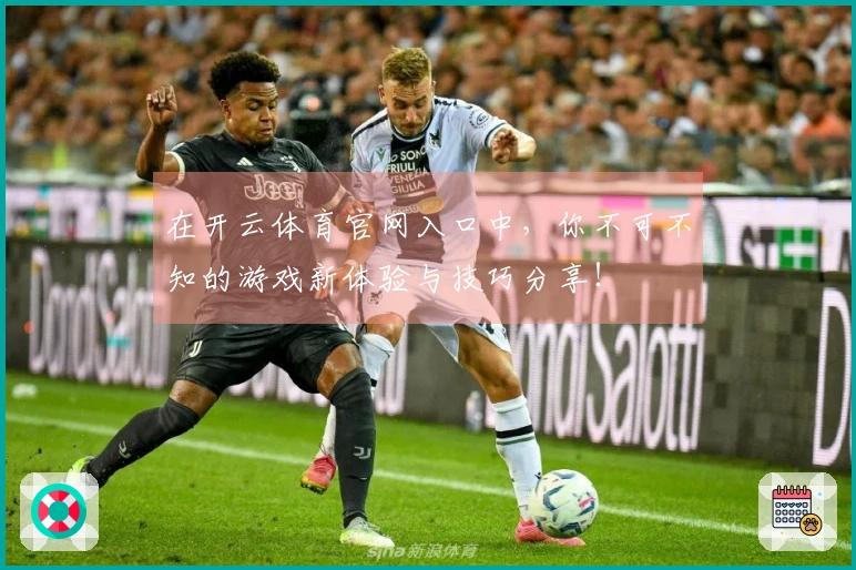 在开云体育官网入口中，你不可不知的游戏新体验与技巧分享！