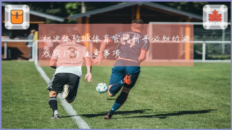 初次体验mk体育官网新手必知的游戏窍门与注意事项